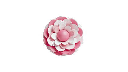 Pink and White Flower Decoration on White Background