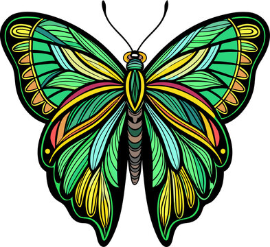 Colored line art vector of a large, tropical birdwing butterfly with vibrant green and gold colors on black wings. Bold outlines, white background.
