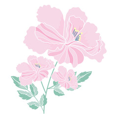 pink flower background