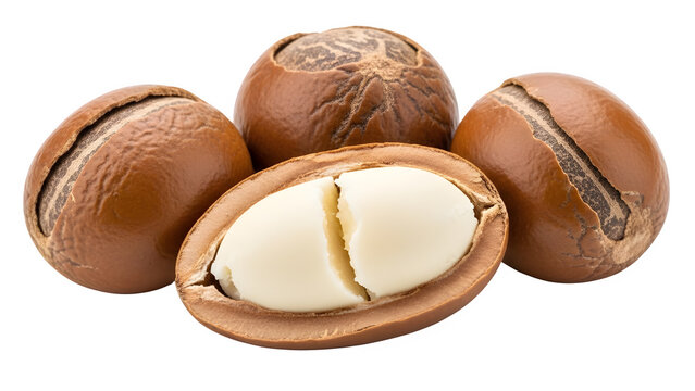 Delicious shea butter nuts isolated on black background showcasing the rich white kernel inside the hard brown shell