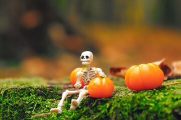 Toy human skeleton figurine sitting on moss with dreamy look, orange pumpkins in woodland