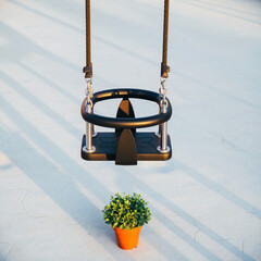 Gymnastics ring on a white floor with a potted plant beside it