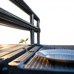 A small plant growing on a metal surface near a plate under a bright sky