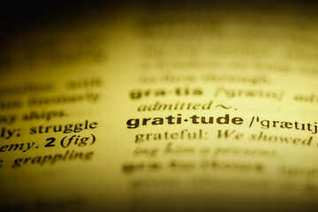 gratitude word dict