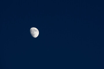 Half Moon visible in a clear sky during the late afternoon in a quiet neighborhood