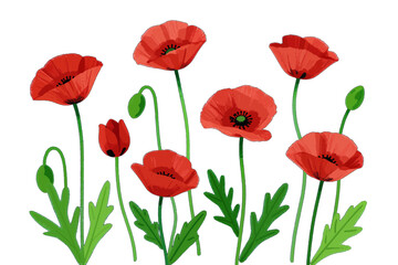 Obraz premium Group of red poppies with green stems isolated