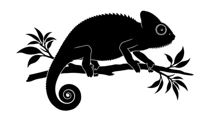Chameleon silhouette on branch vector art, Minimalist black lizard silhouette icon, Detailed reptile silhouette on tree
