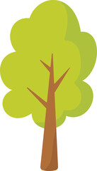 green tree cartoon, illustration of a deciduous tree