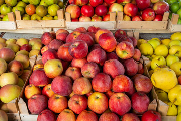 A pile of apples in various colors: red, green, yellow on a market stall.

