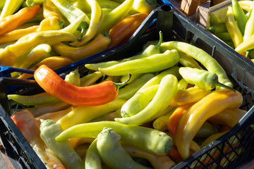 A pile of multi-colored bell peppers on a market stall.


