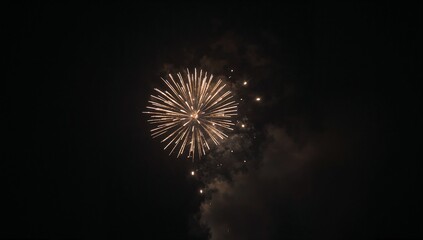 Fototapeta premium Ghost firework glows faintly appearing smoky and mysterious before vanishing quietly into night