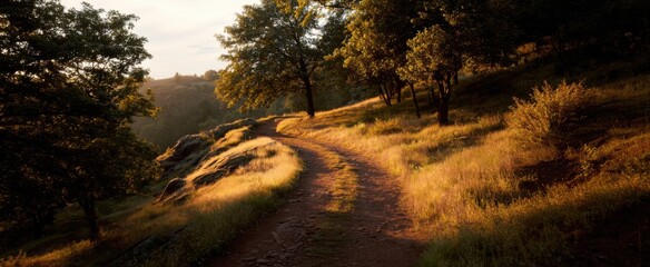 golden hour sunlight illuminates a winding trail with warm glowing tones