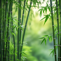 A bamboo and vibrant outdoors still life photograph