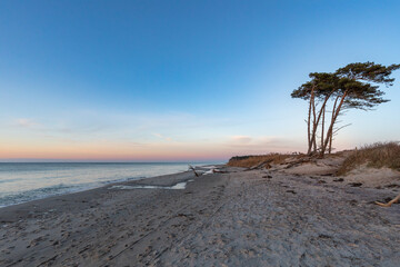 Dar&szlig;er Weststrand.