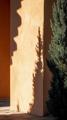 Soft Peach Wall with Sprig Shadow and Beautiful Lighting Effect