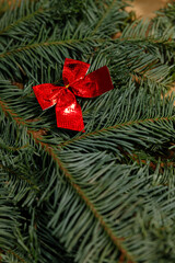 Vertical close-up of a shiny red decorative bow lying on fresh green fir branches, festive Christmas background.