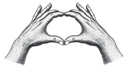 A pair of hands forming a heart shape in vintage engraved style, perfect for romantic designs or artistic projects