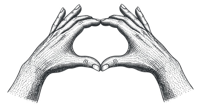 A pair of hands forming a heart shape in vintage engraved style, perfect for romantic designs or artistic projects