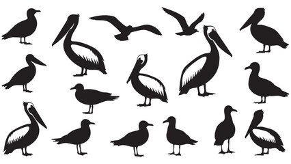 Collection of Pelican Silhouettes for Nature and Wildlife Designs