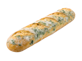 Heavily textured and slightly stale-appearing French baguette, crafted from baked wheat flour with a golden-brown crust, displaying significant patches of, isolated on transparent background.