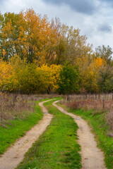 Naklejka premium beautiful landscape of country road in autumn forest with bright yellow leaves on trees, cloudy weather
