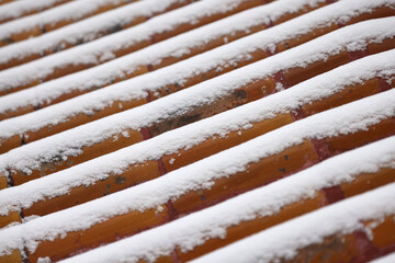 forbidden city beijing