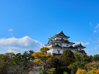 Obraz premium 秋の青空と和歌山城の風景