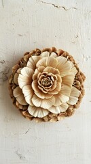 Soft Cream Calendula Bloom on Light Wall Background
