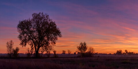 Lone tree with autumn leaves silhouetted against a vibrant orange and purple sunset sky over a tranquil field
