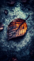 Curled Dry Leaf on Gray Surface with Chalk Texture and Focused Detail