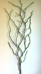 Twisting Herb Stem Decoration in Vanilla Beige Wall Background