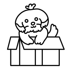 cute chizu dog in box