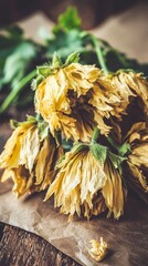 Dry Curling Petals on Neutral Paper Background with Green Leaves