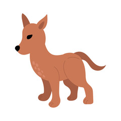 Illustration of an Australian Dingo on White Background