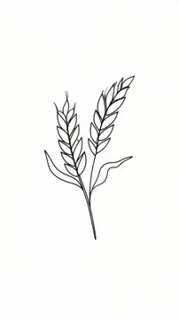 Elegant wheat ears illustration featuring minimalistic line drawing on white paper for agricultural or decorative design elements.