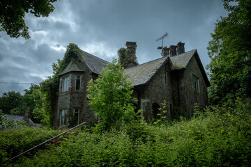 Fototapeta premium Overgrown Abandoned Stone House with Ivy and Slate Roof in Rural Wales