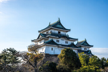 Fototapeta premium 和歌山城