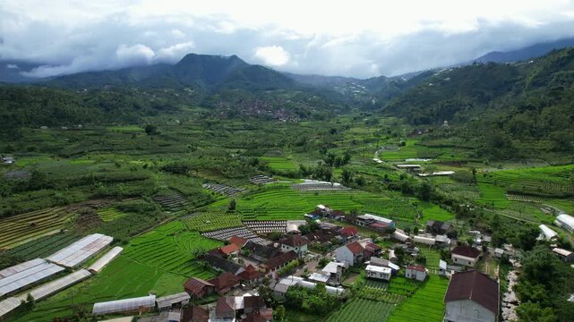 Aerial drone footage of a green vegetable valley in a volcanic area in java island Indonesia, in a heavy cloudy atmosphere