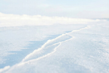 Obraz premium Cold Glacial Ice Texture on Snow Surface