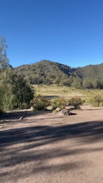 view of Indonesian savannah field mount lawu with natural surroundings and greenery. Suitable for cultural heritage, tourism promotion, education, documentary, travel footage, and history-related 