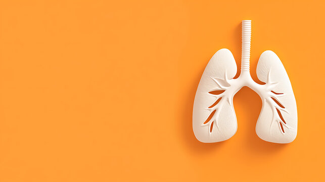 A minimalistic anatomical representation of human lungs. The lungs are white and set against a solid orange background, creating a stark visual contrast.  Isolated and clean.