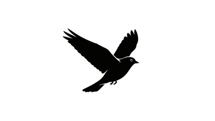 Obraz premium Black Bird Silhouette in Flight.