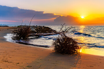 Golden sunrise over sandy beach with driftwood, calm waves and warm reflections on wet sand, peaceful coastal morning scene ideal for travel, wellness, relaxation, nature background and copy space.