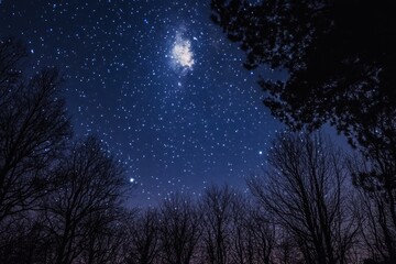 A night sky filled with stars and constellations, with a dark blue sky and silhouettes of trees against the backdrop.