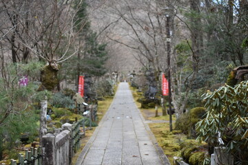 Stone Path Leading to a Buddhist Temple in a Quiet Forest