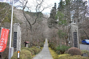 Stone Path Leading to a Buddhist Temple in a Quiet Forest