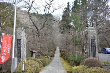 Stone Path Leading to a Buddhist Temple in a Quiet Forest