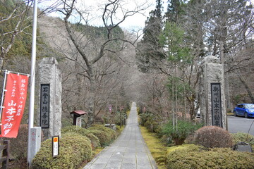 Stone Path Leading to a Buddhist Temple in a Quiet Forest