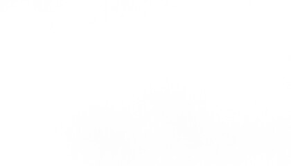 Transparent distressed white grainy texture with dust overlay textured. Grainy noise white particles and snow effect on a transparent background.