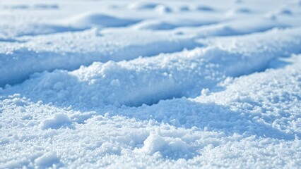 Fototapeta premium Snow Texture — Winter Surface Background